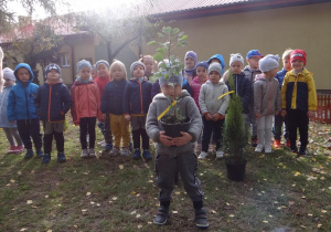 4 latki pokazują zebrane krzewy i młode sadzonki drzew